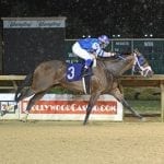 Michael Matz to judge MHBA Yearling Show