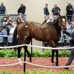 Mage will bypass Belmont