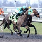 Fasig-Tipton catalogs 550 for 2yo sale