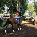 Monmouth Park to have fans for opener