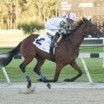Tiz the Law favored in Saturday’s Belmont Stakes
