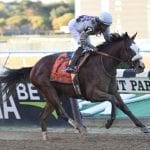 Sharing “super” in work, will race at Royal Ascot