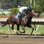 Dunbar Road Cruises to Delaware Handicap Victory