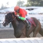 Midlantic Breeders’ Cup, more: The week in social media