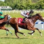 Limited General Admission for Haskell on Sale Saturday