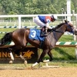 Big swing for Long Point Beach in Del Oaks
