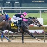 Gufo rallies to record-setting G3 Kent score