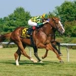 Project Whiskey slurps Del Oaks upset
