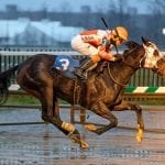 Laki rallies to Oceanport Centennial victory