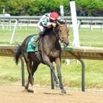 Another Miracle Wins My Frenchman at Monmouth