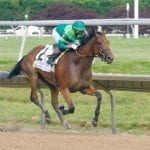 MD Million: Hello Beautiful tackles Distaff