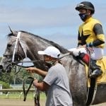 Parx sweep yields “significant” contraband