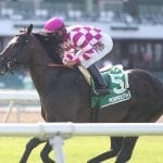 Colonial Downs cancels two cards