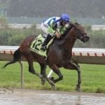 Swiss Skydiver rising in NTRA Top Thoroughbred Poll