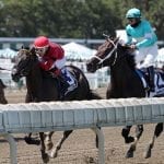First training win for Elvis Trujillo