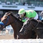 Hello Beautiful has final move for Prioress