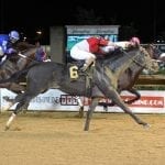 MHBA Yearling show set for Aug. 1