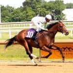 Who leads latest Top Midlantic jockey, trainer ranks?