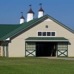 Gofundme set up for Leslie Condon’s horses