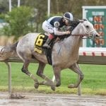 Hello Beautiful has final move for Prioress