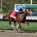 From the Spa: September 7 Midlantic-breds in Saratoga stakes
