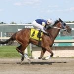 MJC will suspend work-and-go Preakness week