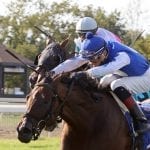 Crop rules give Monmouth Park problems