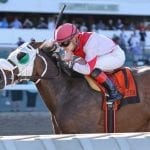 Laki to be considered for G3 De Francis Dash