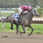 Preakness: Authentic, Thousand Words on track