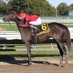 Who leads latest Top Midlantic jockey, trainer ranks?