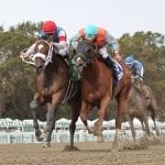 October tabbed Maryland Horse Month