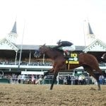 Bronx Beauty bounces back to win Regret