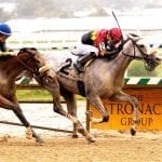 Penguin Power-Runnin’toluvya clash tops CT stakes