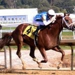 Clear Vision scores in Laurel feature
