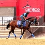 Undefeated Yaupon dominates G3 Chick Lang