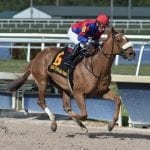 Juliet Foxtrot takes G3 Gallorette