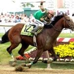 Journalism installed as Preakness favorite
