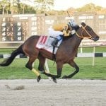 G1 winner Perfect Alibi heads Weber City Miss