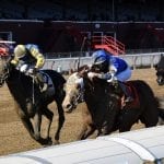Undefeated Yaupon dominates G3 Chick Lang