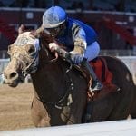Spa Selections 2025: Saratoga Picks July 20