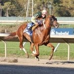 Delaware Park announcer John Curran to retire
