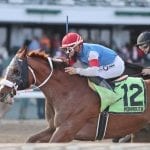 Midlantic states to restrict clenbuterol