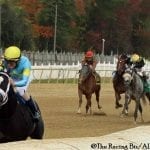 Maryland Million: Repeaters relatively rare