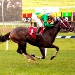 Midlantic first-crop sire watch