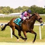Maryland Million and more: The week in social media