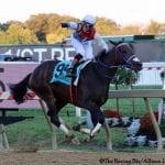 Laurel Park picks and ponderings Mar. 13, 2021