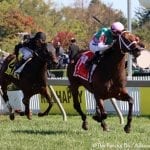 Wicked Whisper silences rivals in Miss Preakness
