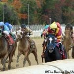 Charles Town: Parisian Diva nearing return