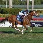 NJ whip rules leave jockeys hoping for “happy medium”