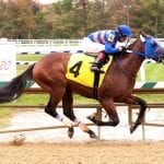 Delaware Park two-year-olds to watch